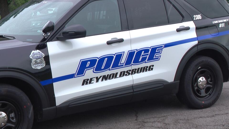 Police: 2 seriously hurt, including child, after being attacked by dogs ...