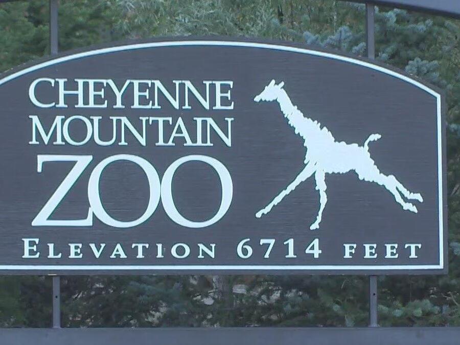 Cheyenne Mountain Zoo ranked in top 5 zoos in North America