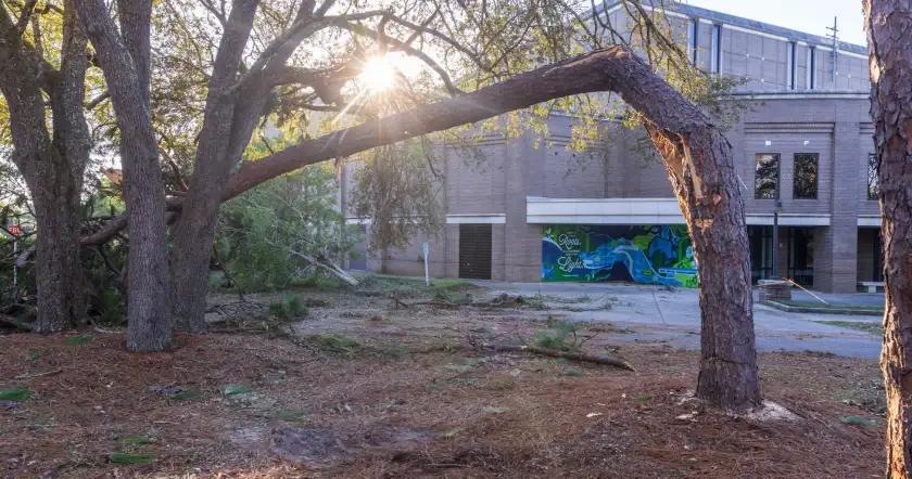 Riding out the storm: Students share their stories - NewsBreak