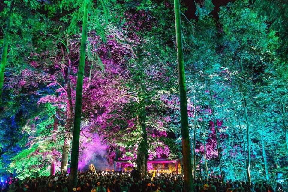 Woman dies in tent at Houghton techno festival in Norfolk