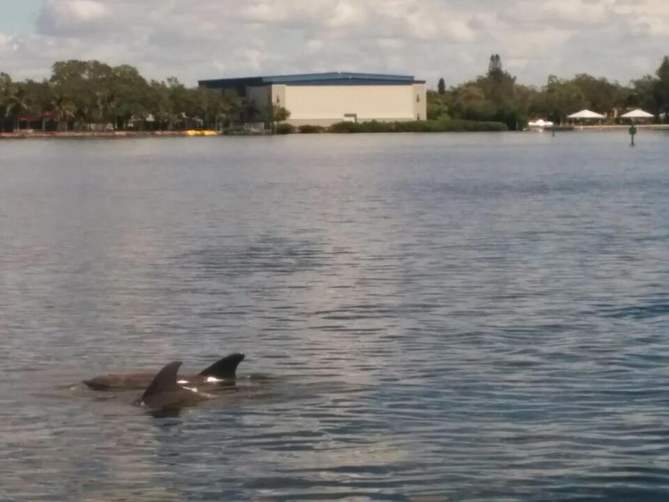 RESEARCH Microplastic pollution is everywhere, even in the exhaled