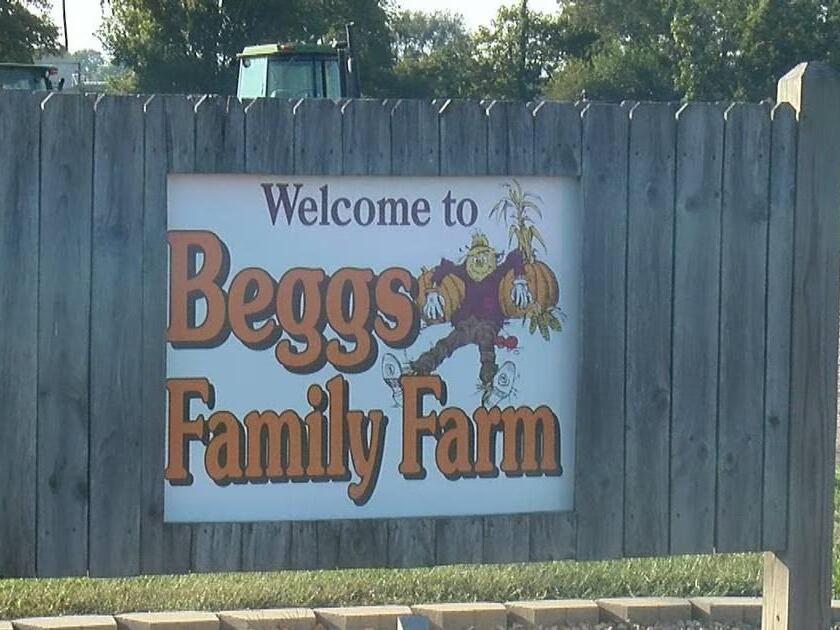 Beggs Family Farm pumpkin patch preparing for opening weekend