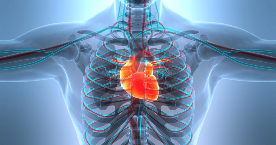 Abbott Laboratories Obtains CE Mark for Amulet 360 LAA
