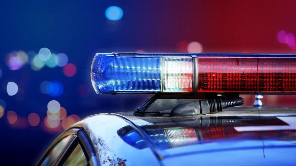 Human skeletal remains found in Richland County woods, coroner seeks ...