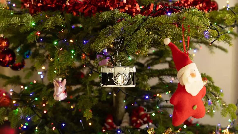 Cape Cod Holiday Light Recycling Program Continues Until January 31st ...