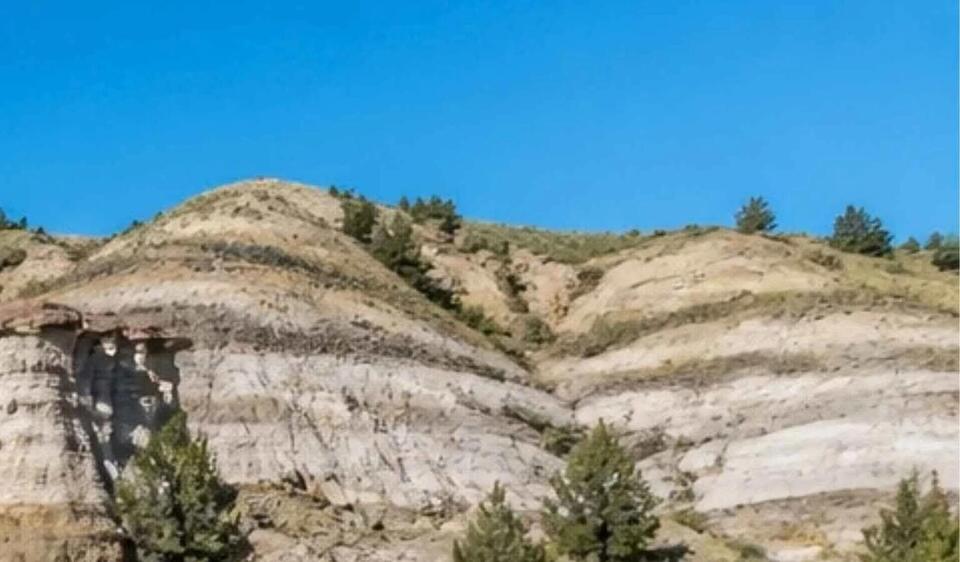Partial closure at Makoshika State Park for noxious weed spraying next ...