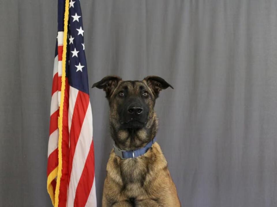 Streetsboro K-9 officer dies after ‘sudden illness’