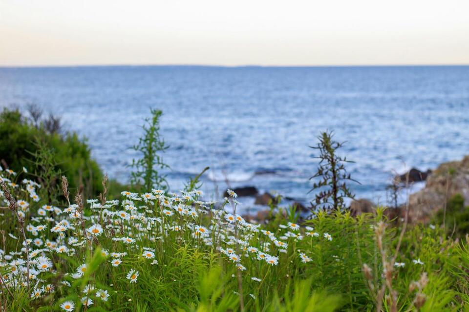Maine Bucket List: 13 Epic Spring Adventures You Can’t Miss - NewsBreak