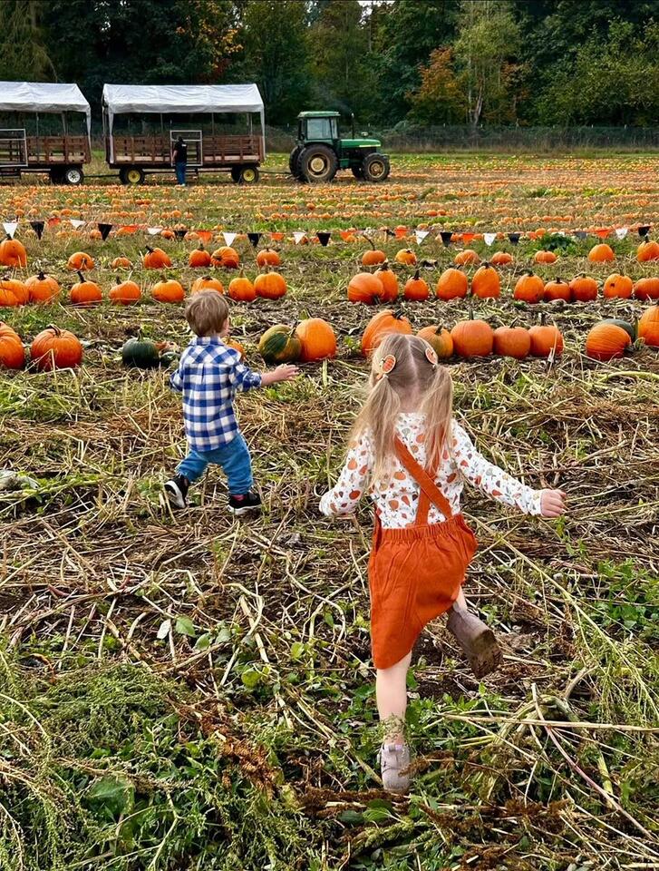 Fall activities at Thomasson Family Farm - NewsBreak