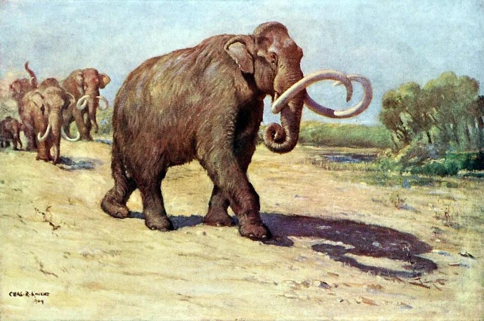 The Enigmatic Megafauna: Giants That Roamed Prehistoric American ...