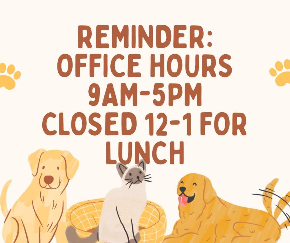 City Office Posts Public Operating Hours - NewsBreak