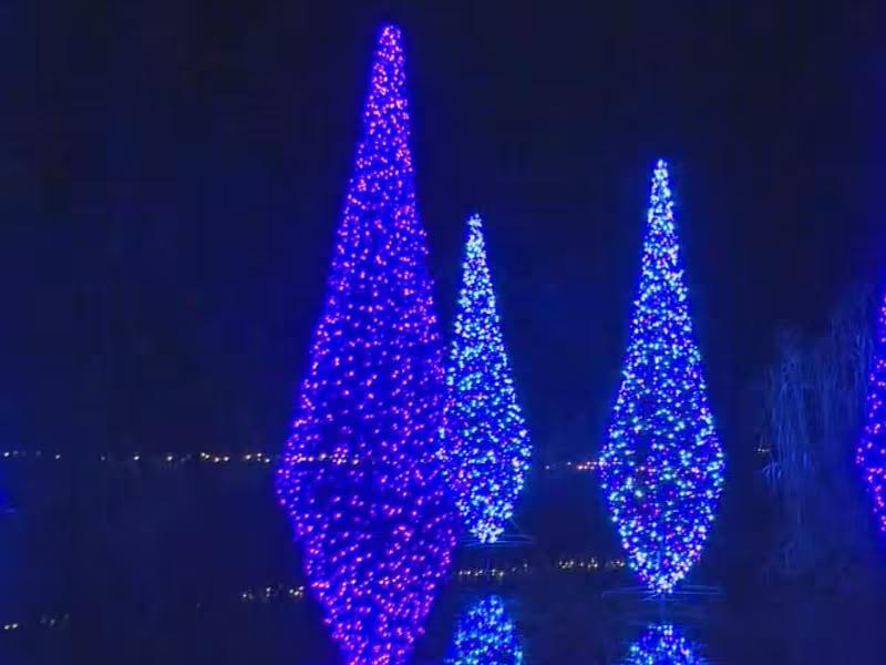 LIGHTS at Fernwood Botanical Garden return for Thanksgiving weekend