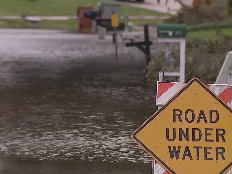 Alligators in Milton floodwaters pose threat