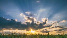 Timothy Wayne Reed News Break