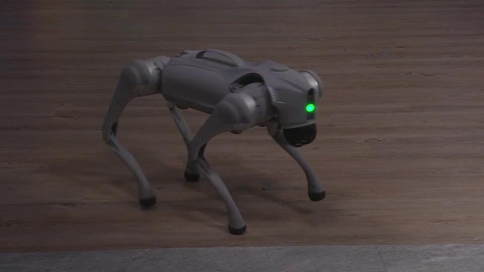 Bedrock tests robot dogs in Downtown Detroit - NewsBreak