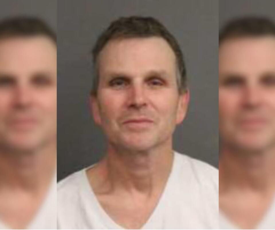 Westbrook Man Arrested After Killing Dog, Leaving Remains in Woods For ...