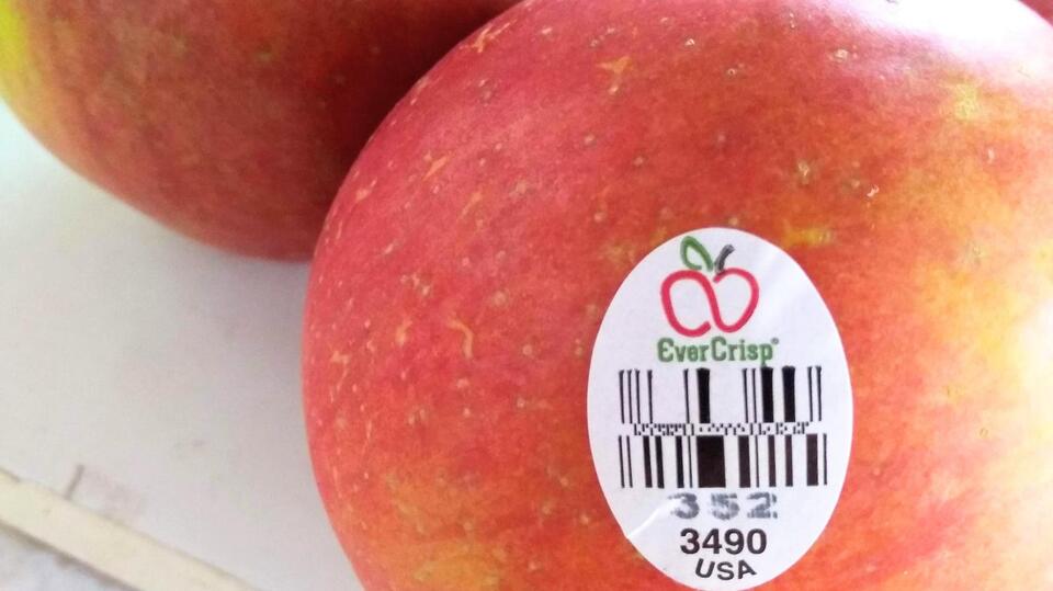 The 5 Apples That Are Giving Fuji a Run for Its Money - NewsBreak