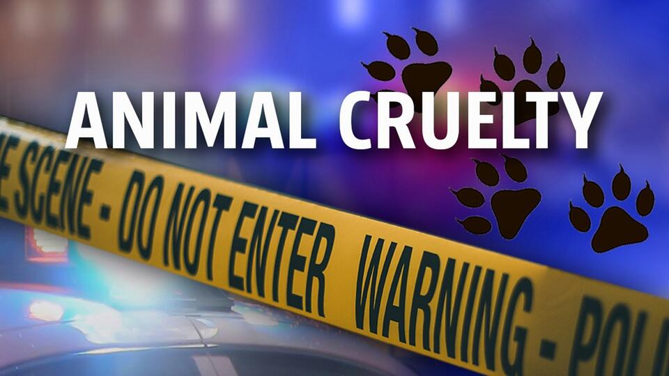 Mifflin County man charged with aggravated animal cruelty, neglect ...