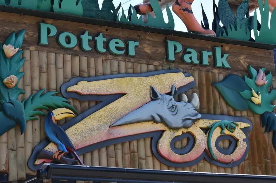 Have You Heard About the Newest Bundle of Joy at Potter Park Zoo ...