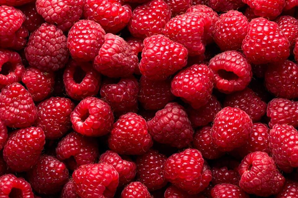 Fruit Intelligence : Raspberry - NewsBreak