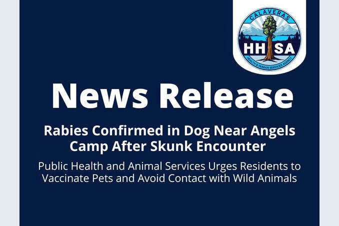 Dog Tests Positive For Rabies In Calaveras County - NewsBreak