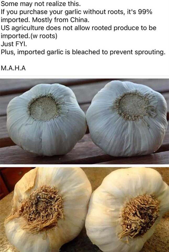 Debunking 6 garlic myths: The truth behind imported garlic and more ...