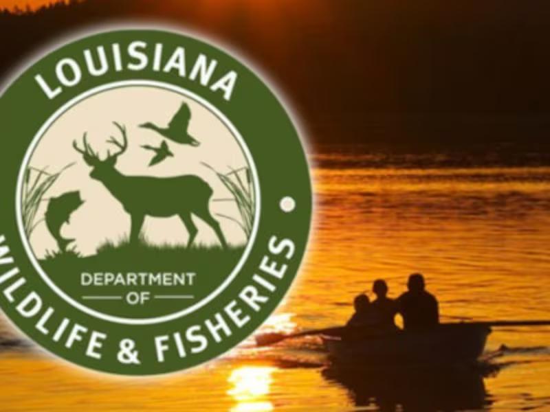 LDWF releases 202425 hunting and fishing regulations