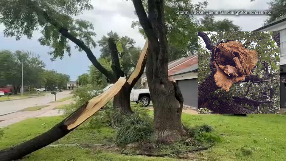 Large branches downed, cleanup underway after strong thunderstorms hit northwest Harris County
