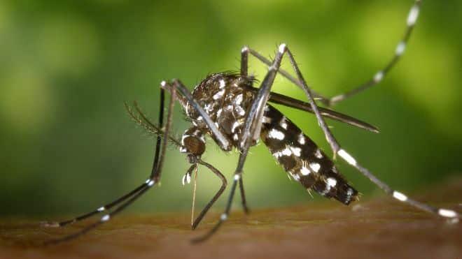 West Nile Virus Cases Climb to Three in Onondaga County; Health Officials Urge Vigilance