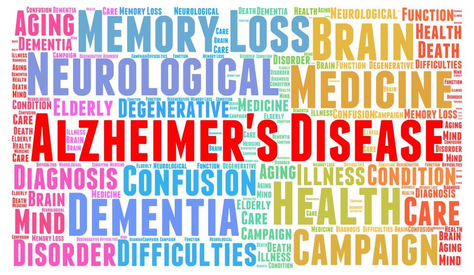 Study Finds CBD Reduces Alzheimer’s-Related Brain Plaques and ...
