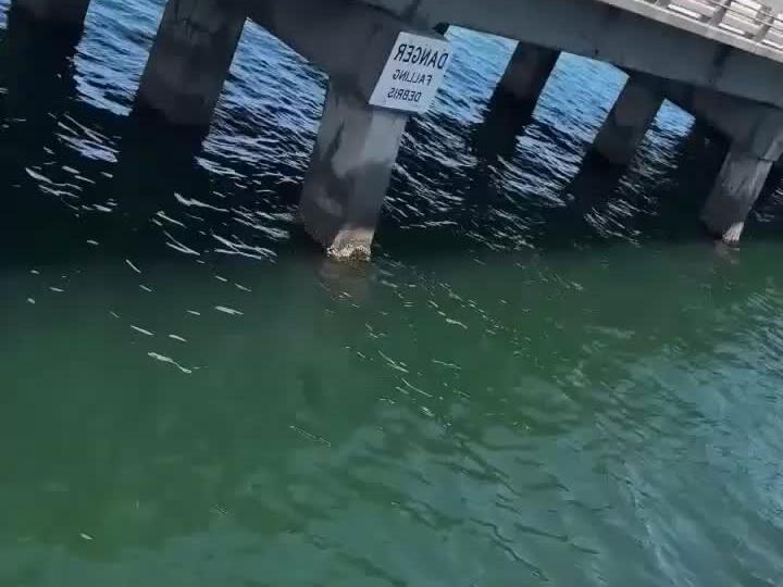 What do you think about these guys fishing tactics? Florida 