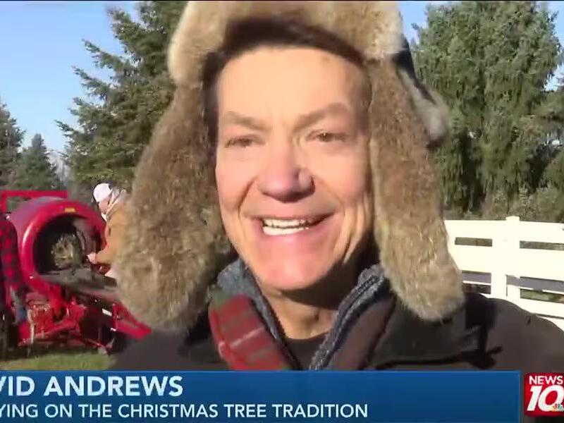 Tannenbaum Farms draws large crowd for opening day of Christmas tree season