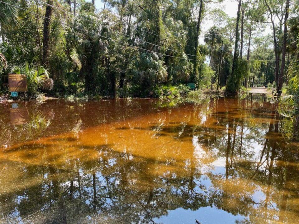 ‘We didn’t anticipate this big disaster’ Yankeetown residents are