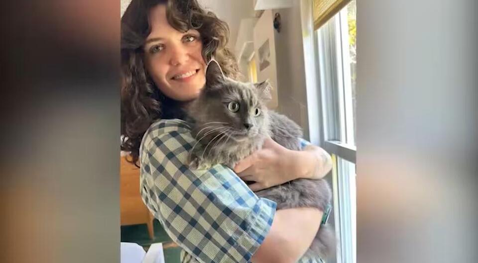 📢 Greenwich family reunites with missing cat after 571 days - NewsBreak
