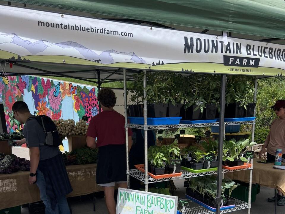 Opening day of Vail Farmers’ Market and Art Show successful in sun and