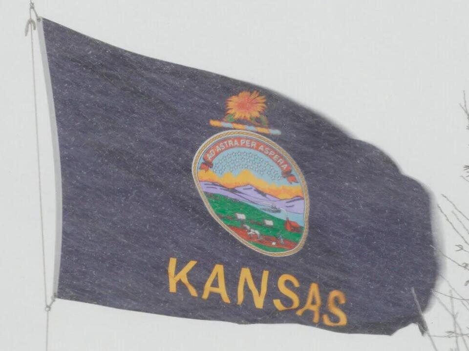 Lily Wu, incumbent Brandon Whipple face off in Wichita mayoral election