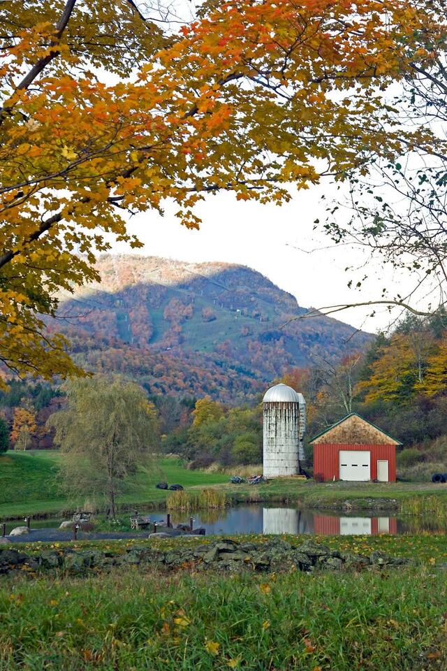 The Catskills Are Becoming the New Hamptons. The Prices Just Haven’t Fully Caught Up Yet