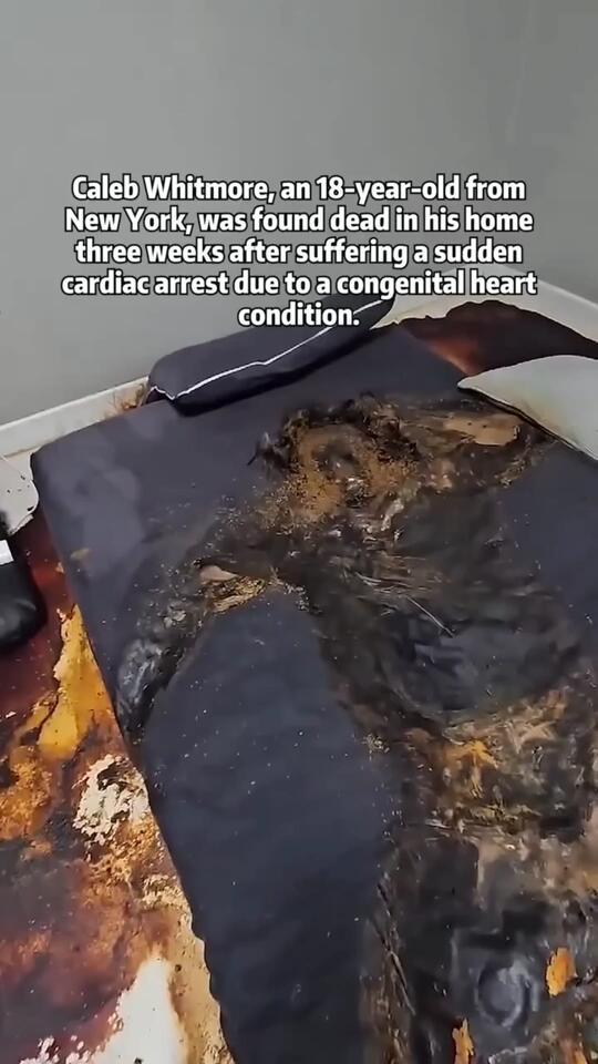 Caleb whitmore , an 18 year old from New York, was found dead in his ...