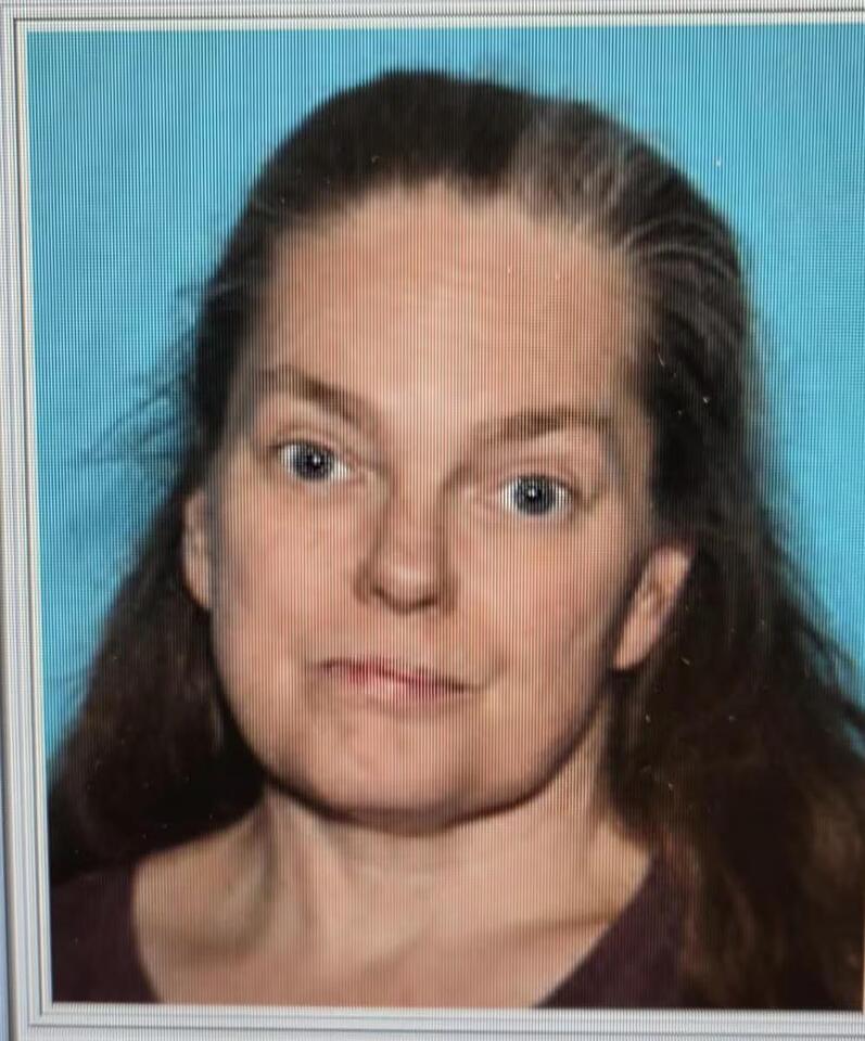Human remains found during search for missing Michigan woman - NewsBreak