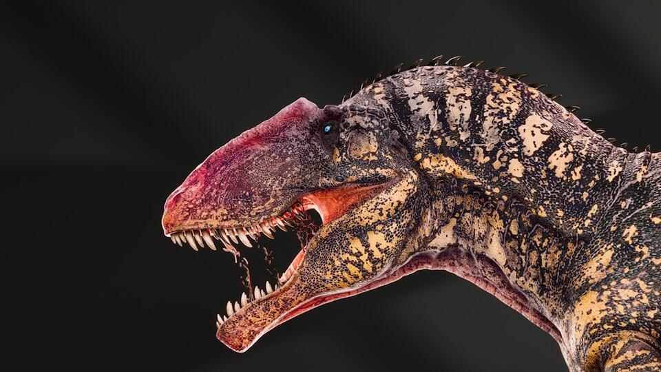 Dinosaur Skin Impressions Reveal Surprising Patterns and Camouflage ...