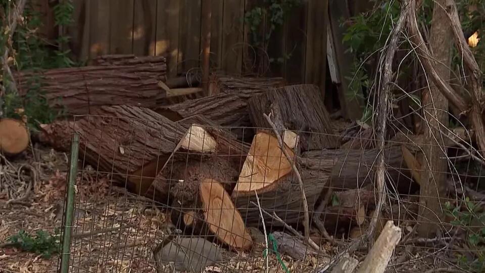 Vallejo homeowner considers legal action against PG&E after tree ...