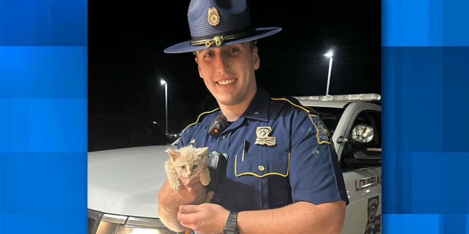 State Police trooper patrolling in Bossier rescues kitten in middle of ...