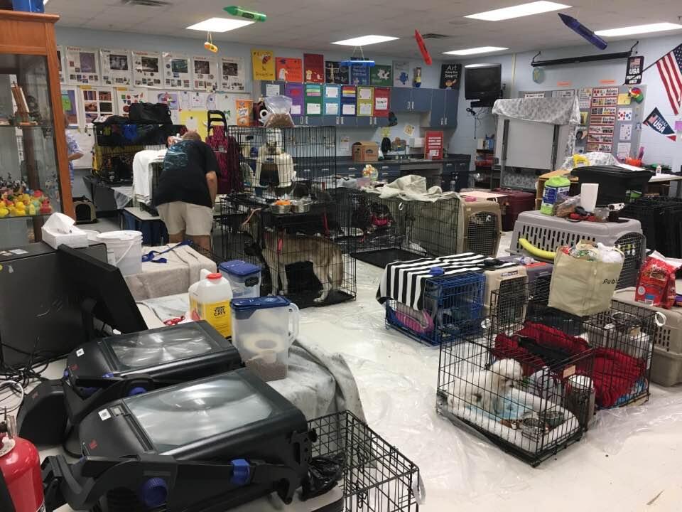 Two Pet friendly Hurricane Shelters Opening Near The Villages