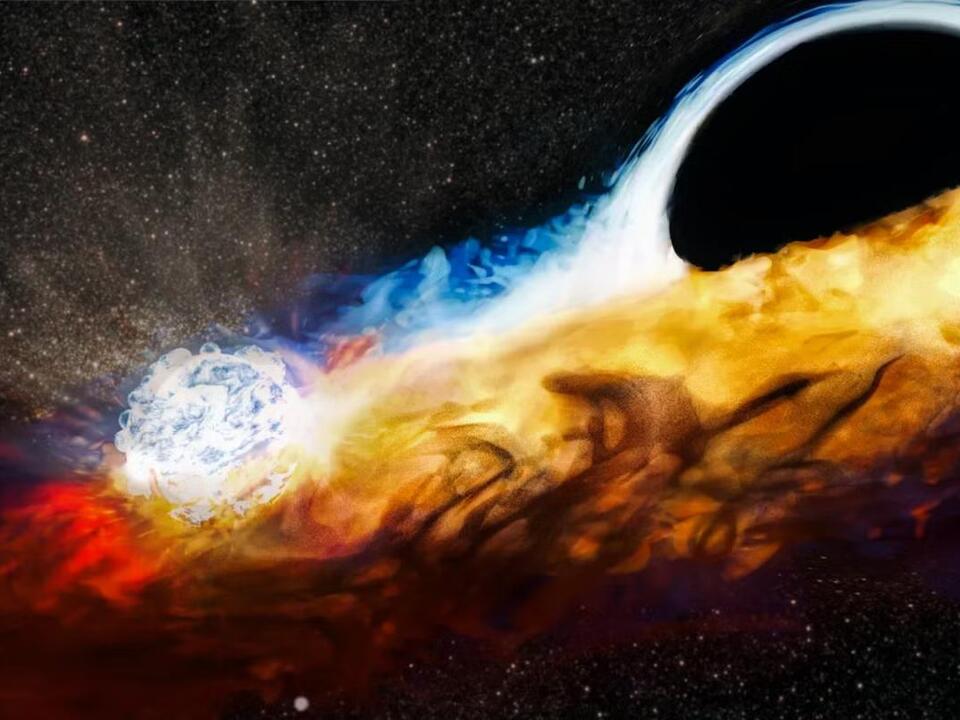 Nasa catches black hole tearing star apart, then using its energy to
