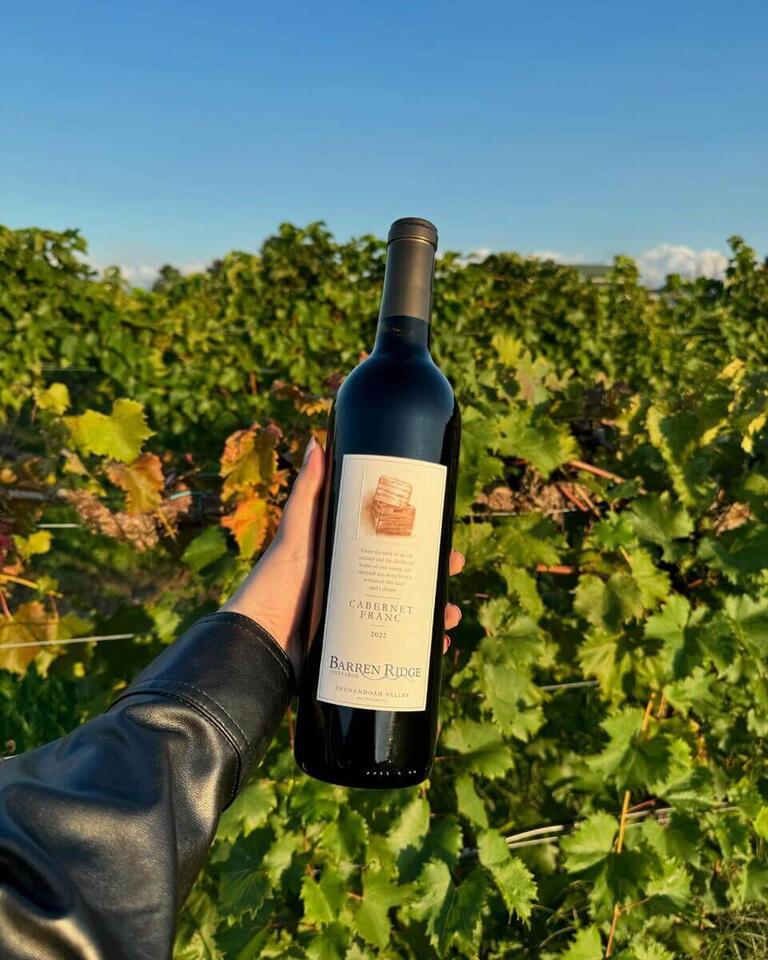 Raise a Glass: It’s Time to Celebrate Virginia Wine - NewsBreak
