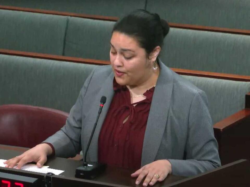 Arlington considers removing immigration status requirements for low