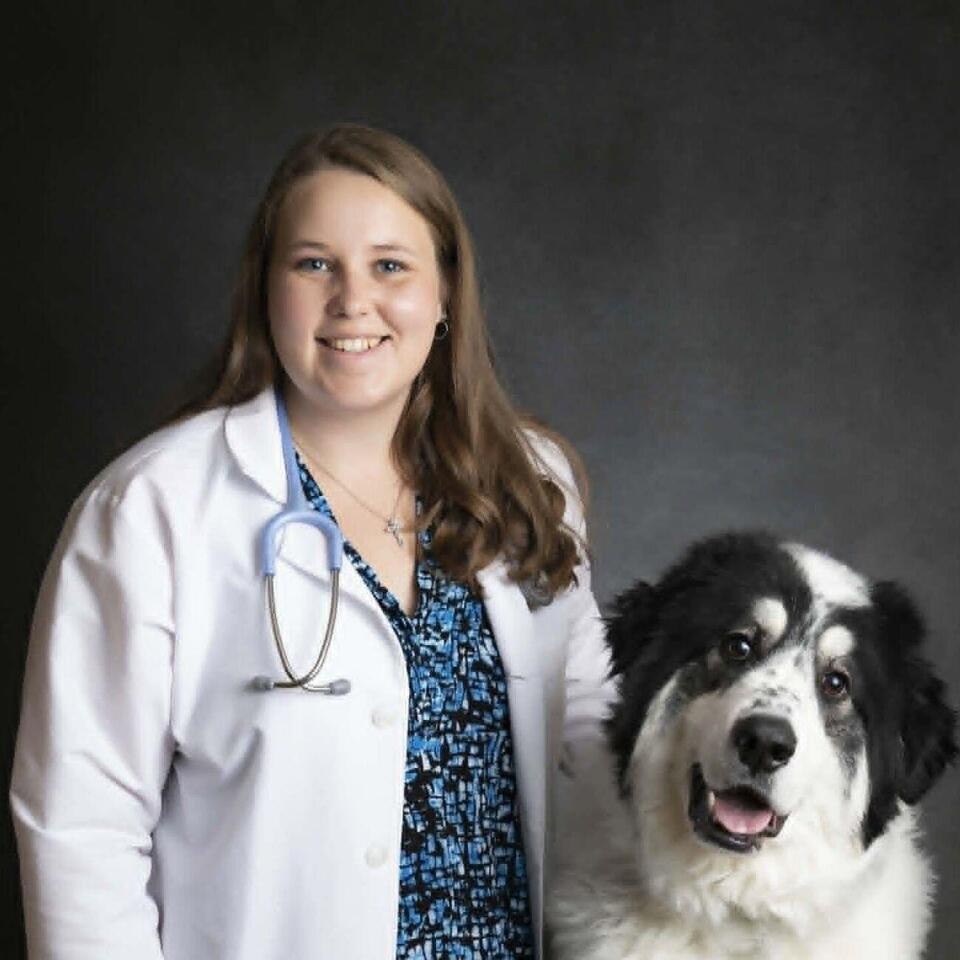 Laurens native returns home to practice veterinary medicine