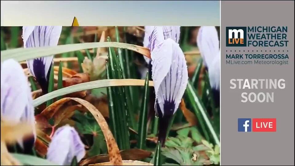 Michigan Weather Forecast Wednesday, February 5, 2025 NewsBreak