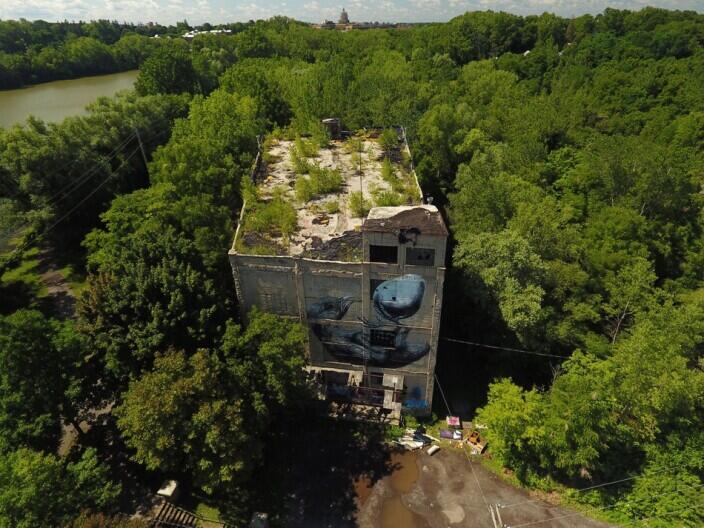 Dalston Flat: The Heart of East London's Revitalization