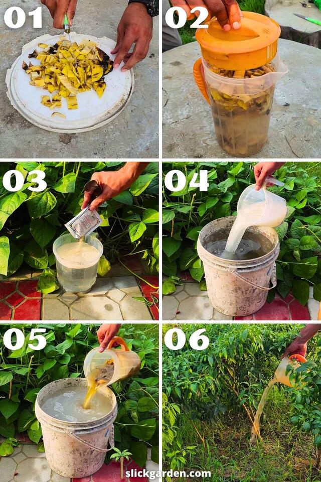5 Best Banana Peel Fertilizer Recipes for Plants | DIY Natural ...
